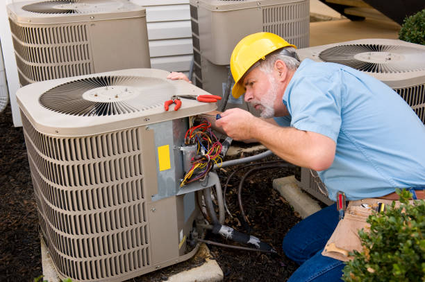 Best HVAC air duct cleaning  in Fergus Falls, MN